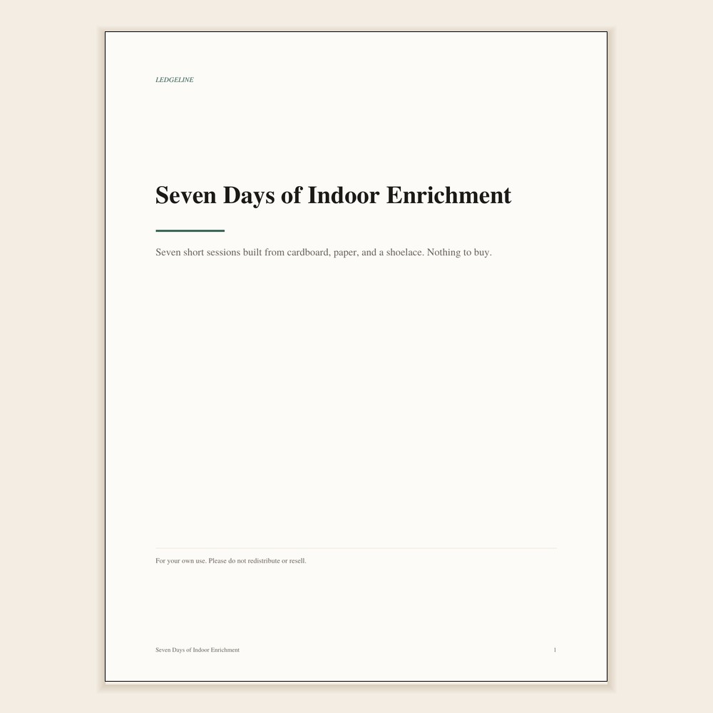 Seven Days of Indoor Enrichment
