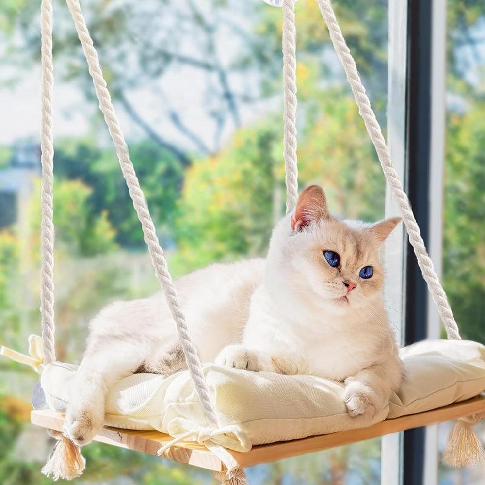 Cat Window Hammock